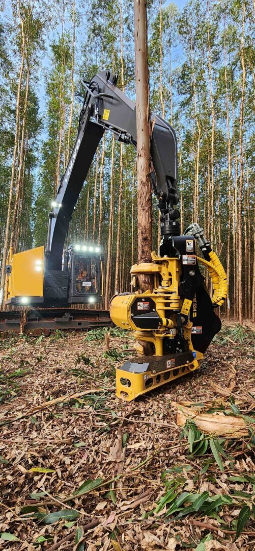 Cabecote TH534 01 2 1 Tracbel e Tigercat lançam duas novas soluções para operações de colheita florestal