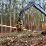 Cabecote TH534 02 2 1 Tracbel e Tigercat lançam duas novas soluções para operações de colheita florestal