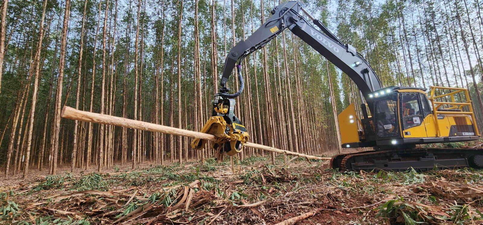 Cabecote TH534 02 2 1 Tracbel e Tigercat lançam duas novas soluções para operações de colheita florestal