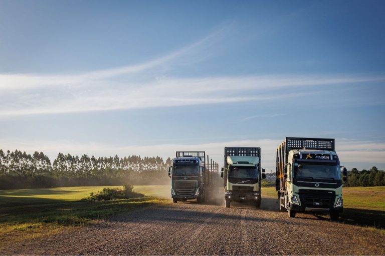 Conheça oCaminhão para transporte de grãos