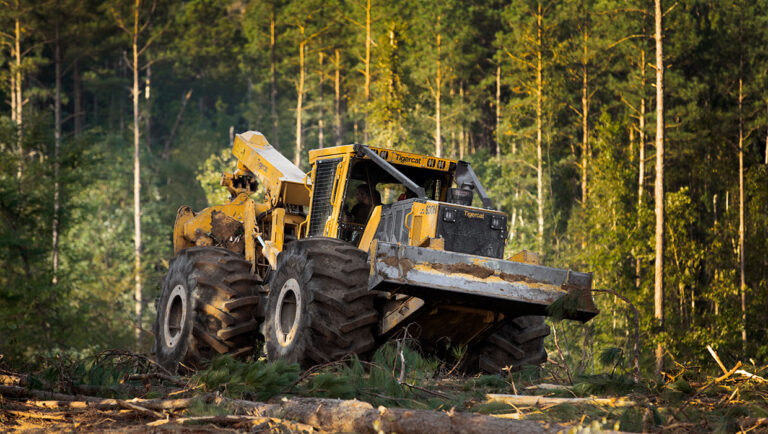 Máquina Tigercat setor florestal